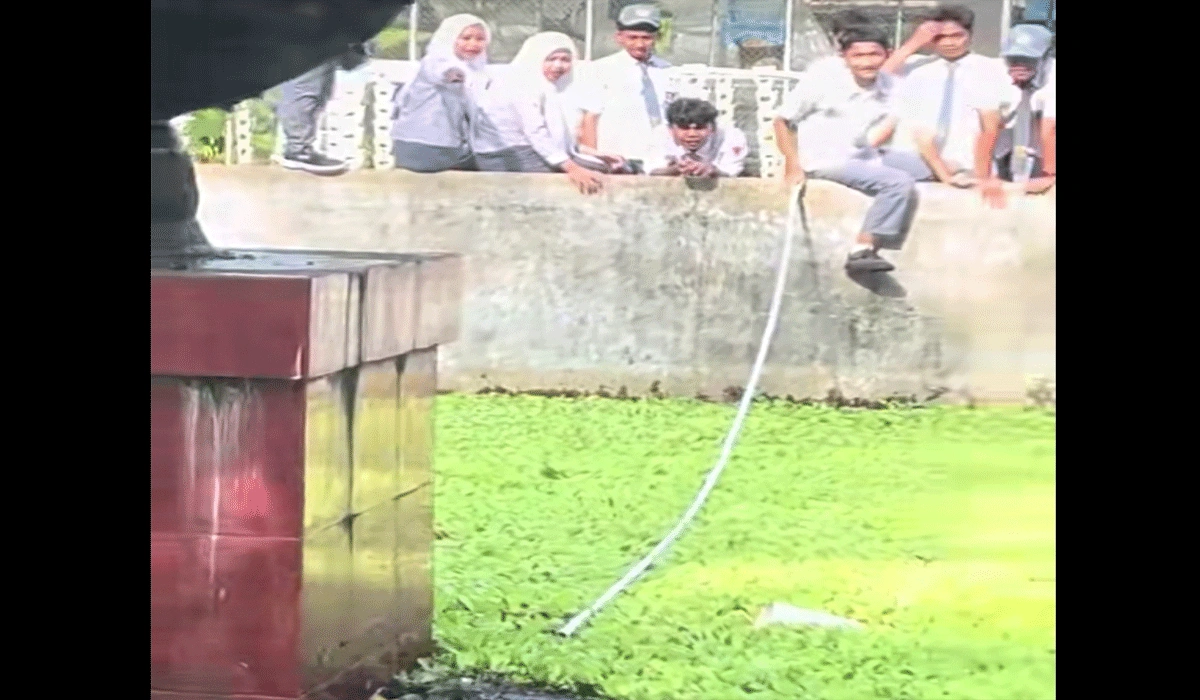 Aksi Heroik Siswa Makassar Selamatkan Kucing Yang Jatuh ke Kolam